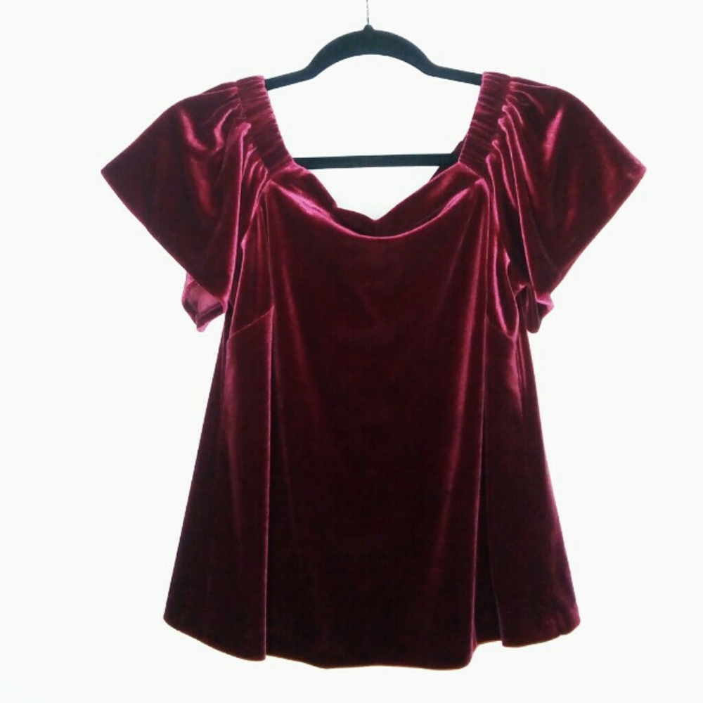 Festive or Fall short sleeve WHBM blouse